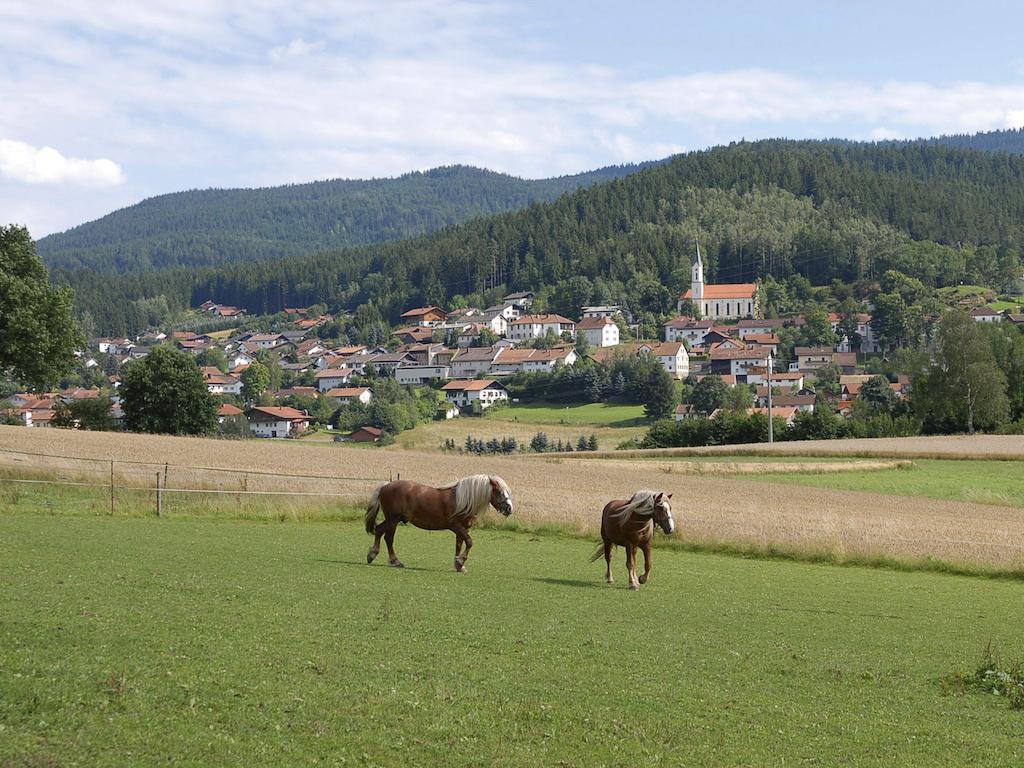 Pension Weiss Hohenwarth Exterior foto